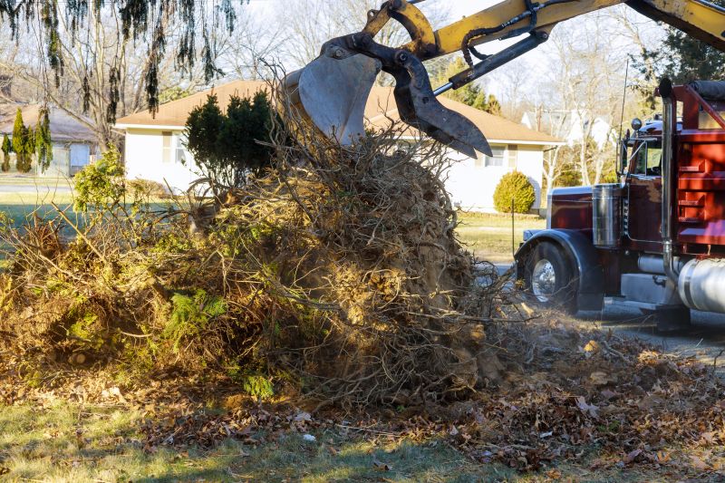 Cleanup and Debris Removal