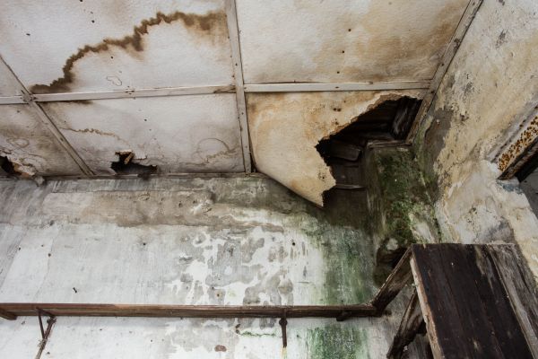 Cost of Water Damage Service in Federal Way