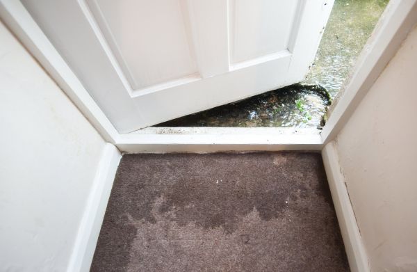 Wet Carpet Restoration in Federal Way