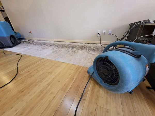 Cost of Water Damage Mitigation in Federal Way