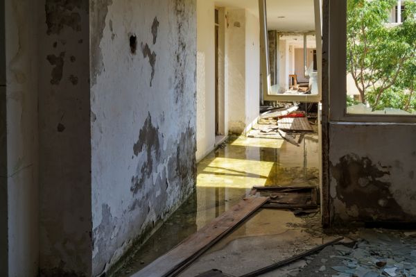 Cost of Water Removal Service in Federal Way