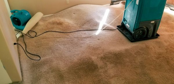 Carpet Water Extraction in Federal Way