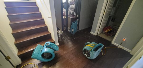 Cost of Water Damage Remediation in Federal Way