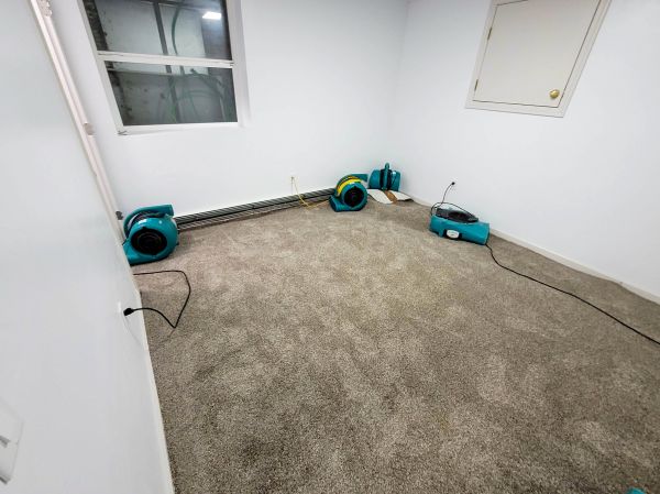 Cost of Flood Restoration Service in Federal Way