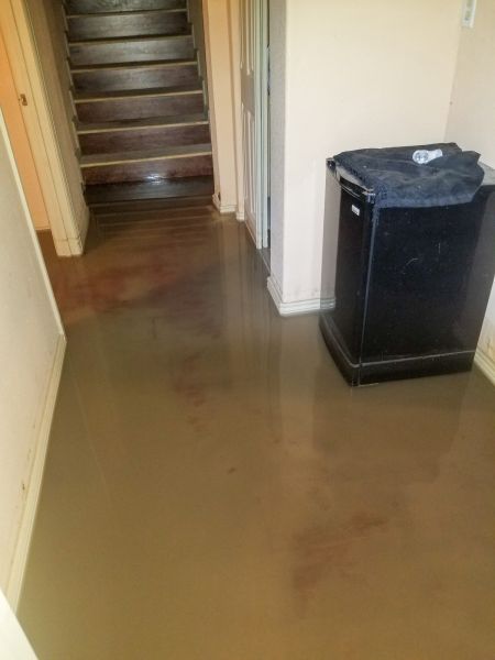 Emergency Water Removal in Federal Way
