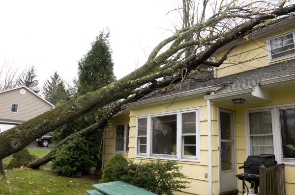 Hurricane Damage Repair in Federal Way